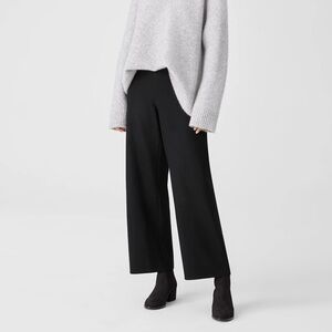 Eileen Fisher Wool Straight Wide Leg Cropped Pants